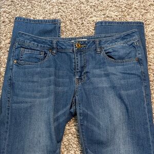 CAbi Classic Denim Straight Leg Jeans